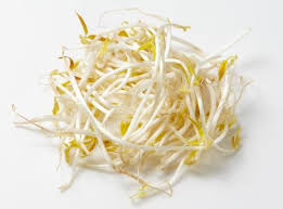 Apr 02, 2021 · japan duo in the guy vs eowoodong 2017 japanese glamour video eighteen. Mung Bean Sprout Wikipedia