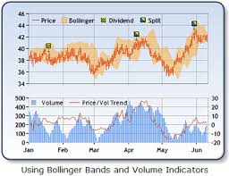 Visual Studio 2008 Online Charts Collection