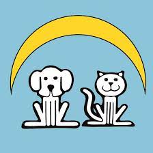 Advocate animal protection and welfare vision: Animal Welfare League Of Charlotte County Home Facebook