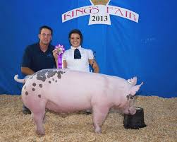 Cleaning up at the fair