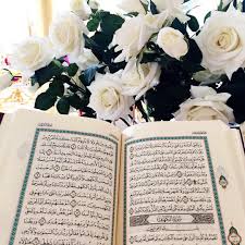 The website assabile offers the qur'an recited in arabic for free by more than a hundred reciters. We The Muslims We Remind Quran Wallpaper Quran Karim Quran Book