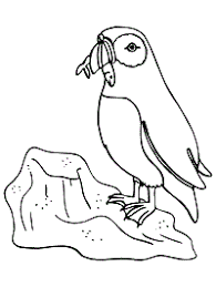 Here is a free coloring page of bird. Sea Birds Marine Birds Coloring Pages And Printable Activities