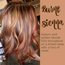 Burnt Sienna Hair Styles Auburn Balayage Hair Color Auburn