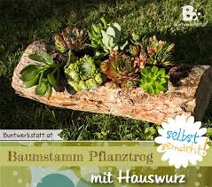 Anleitung Fur Einen Baumstamm Pflanztrog Mit Hauswurz Und Sukkulenten Einen Baumstamm Auswahlen Aushohlen Und Bepflanzen Pflanzen Hauswurz Pflanzen Hauswurz