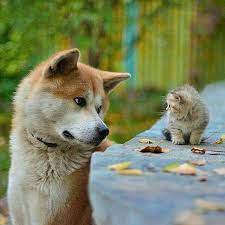 We did not find results for: à¶½à·ƒ à·ƒà¶± à¶´ à¶§ Lassana Photo Photos Facebook