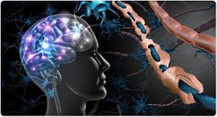 Relapsing Remitting Multiple Sclerosis Rrms
