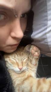 Looking for a cost effective photographer who has experience with  engagement photos