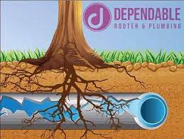 Did You Know Summer Months Put Your Plumbing And Pipelines At Risk For Root Invasion Roots Are Attracted To The Water Releas Tree Roots Sewer Heating Services