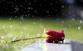 Image result for fb wallpapers