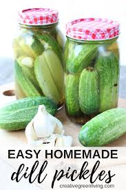 Then slice them (and process for canning or add other spices as desired). How To Make Fermented Pickles Crunchy Arxiusarquitectura