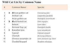 Wild Cat Lists Felidae Species List Download Free Pdfs 2021