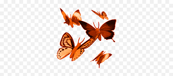 Search and download free hd butterfly png images with transparent background online from lovepik.com. Tammy Lee Butterfly Gif Images Image Glitter Animated Butterflies Png Free Transparent Png Images Pngaaa Com