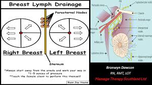 Pin By Heather Demassa On Gyn Lymph Drainage Lymph Nodes Latissimus Dorsi