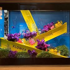 David Jones Department Store Elizabeth Street Sydney Cbd New South Wales Australia Building The Foundations Of Spring David Jones New South Wales Photo