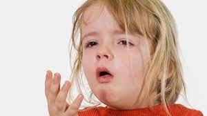 Der kinderarzt sollte klären, ob erkrankungen wie asthma, krupp oder bronchitis ausgeschlossen werden können. Husten Es Gibt Sieben Arten Von Husten Bei Kindern