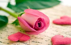 Who doesn't love some great flowers? 200 I Love You Quotes For Him Or Her
