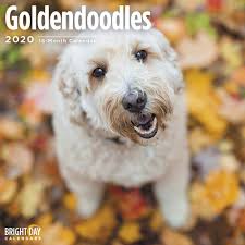 Beli aneka produk di toko poodle doodle secara online sekarang. Espoma Ss8 8 Quart Organic Seed Starter Brown