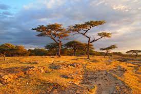 Pictures of some of the wide and diverse landscapes found in africa. African Landscape Africa Painting Landscape Africa Art