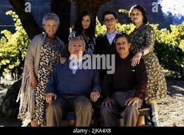 Evangelina elizondo hi-res stock photography and images