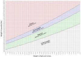 Chakat Bmi Chart Inches Feet And Pounds Version 2 By