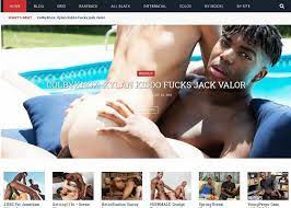 Black Is Big: Gay porn blog with pictures of black guys