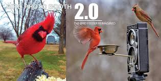 Best Bird Feeders For Small Birds Only Combined Bird Feeder And Bird Camera For Bird Photography Https Birdphotobooth Com Wild Bird Feeders Bird Photography Bird