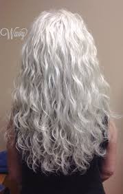 22 Trendy Hair Color Gray Ageless Beauty In 2020 Long Gray Hair Grey Curly Hair Long Hair Styles