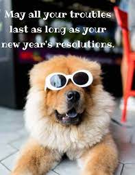 Happy New Year Funny Quotes Hilarious Resolutions Humor 2021 Happy New Year Funny New Year Meme Funny New Years Memes