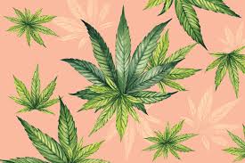 You'll find a list of these dispensaries further below in this guide. How New Marijuana Laws Is Impacting Virginia