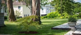Ich habe eine rebe an der südseite der garage und eine weitere an der terrasse. Gartenbau Konstanz Mit Den Profis Vom Gartenforum Gartenforum Com