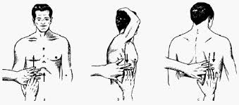 Resultado de imagen para PERCUSION DEL ABDOMEN