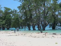 Para pengunjung bisa melakukan banyak sekali aktivitas aktivitas menarik yang bisa dilakukan di pantai pesona pulau rupat. 5 Tempat Wisata Pantai Eksotis Dan Menawan Di Aceh Aceh