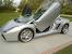 Suicide Doors Rolls Royce