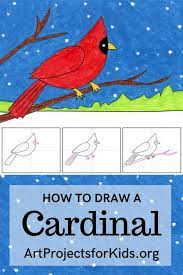 How to draw a cardinal! How To Draw A Cardinal Art Projects For Kids