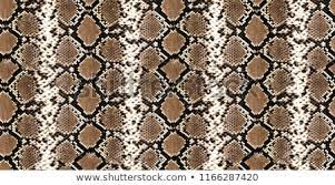 Python Skin Piton Texture Snake Pattern Animal Skin Pitone