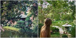 The Japanese Garden At Hermann Park Is The Most Serene Spot In Houston Narcity