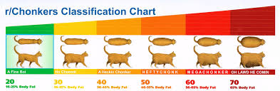 heres a chart to help classify your chonker chonkers