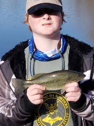 Walleye fishing with forward facing sonar and minnow bait in Greers Ferry