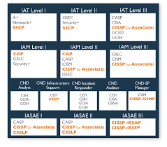 certification licensure developing career path models