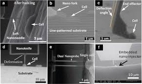 La ordinul ms şi cnam nr. A Review Of Nanomanipulation In Scanning Electron Microscopes Springerlink