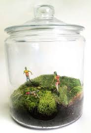 Pint Sized Undead Container Terrarium Mini Garden Terrarium Gifts