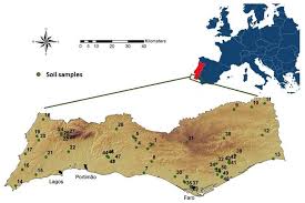 Effective integrated pest management (ipm) depends upon knowing when these pests are present in numbers large enough to warrant control, and applying although the timing of apple maggot activity varies among years, generally it is most active between mid july and early august in the southeast. Insects Free Full Text Patterns Of Occurrence And Activity Of Entomopathogenic Fungi In The Algarve Portugal Using Different Isolation Methods Html