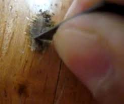 Burn marks on the cut wood result from too much heat on the saw blade. Fix It Friday Burn Baby Burn How To Remove Scorch Marks From Your Hardwood