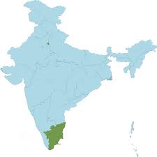 Image result for Halopyrum mucronatum