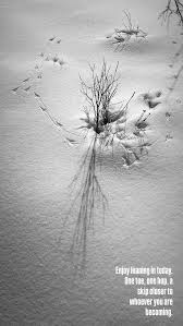 ad I grew up foraging and also working