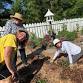 Children's Garden & Carolina Yard Work Day event in Columbia, SC