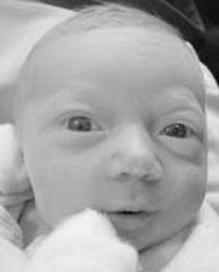 Wynston Wolfe Swan Hochard