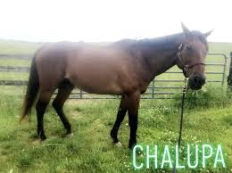 Long Branch Historic House & Farm