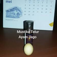 111 resep ayam jago ala rumahan yang mudah dan enak dari komunitas memasak terbesar dunia! Telur Ayam Jantan Antik Shopee Indonesia