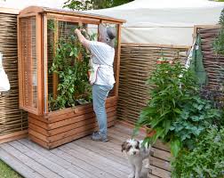 Tomatenhaus der effektive schutz im garten. 13 Tomaten Haus Ideen Tomaten Haus Tomatenhaus Tomaten